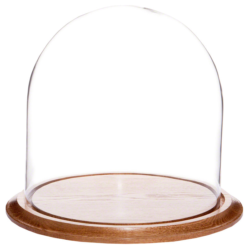 Cloche en verre Vucciria, Base en chêne, H 23 po x l 11,75 po x P 11,75 po