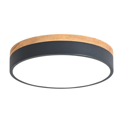 Modern Dimmable LED Close to Ceiling Light