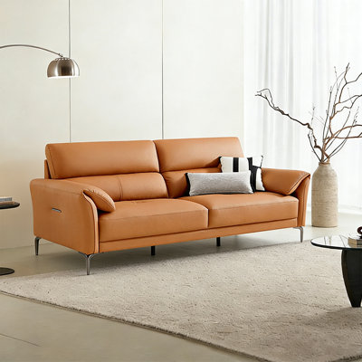 Orange Genuine Leather Standard Sofa cushion Loveseat