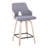 Saltram Upholstered Bar & Counter Stool with Square Footrest (Set of 2)-90140856-88309811-88309808