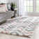 Arden Chevron Synthetic Area Rug