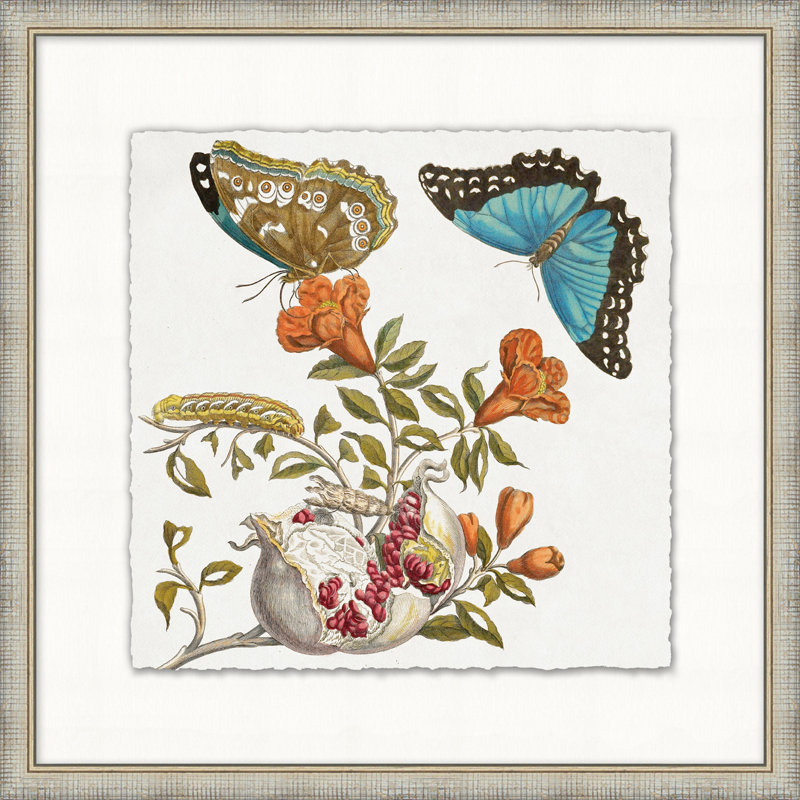 Garden Butterflies 4 Print