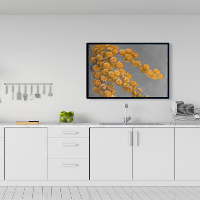 " Golden Wattle Plant "