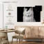 Chat blanc ravi-107947788