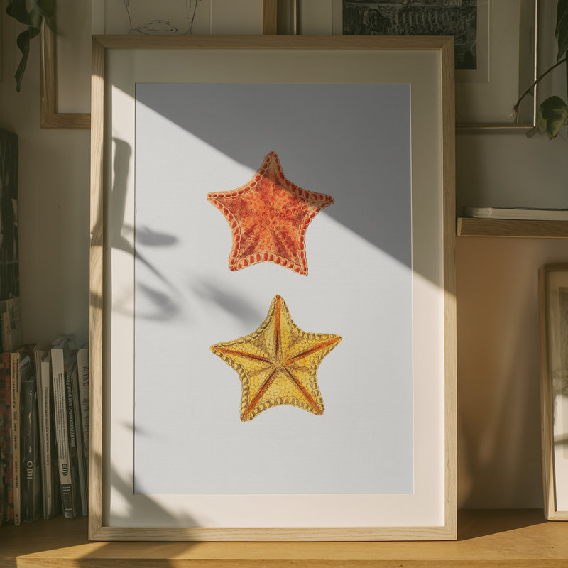 Wrapped Canvas Print, 76.2 cm H x 50.8 cm W