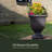 Danetra Pot Planter-1735281200