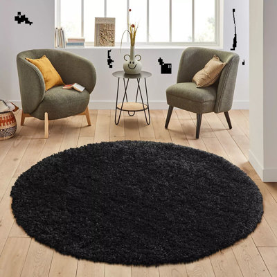 Shaggy Area Rug