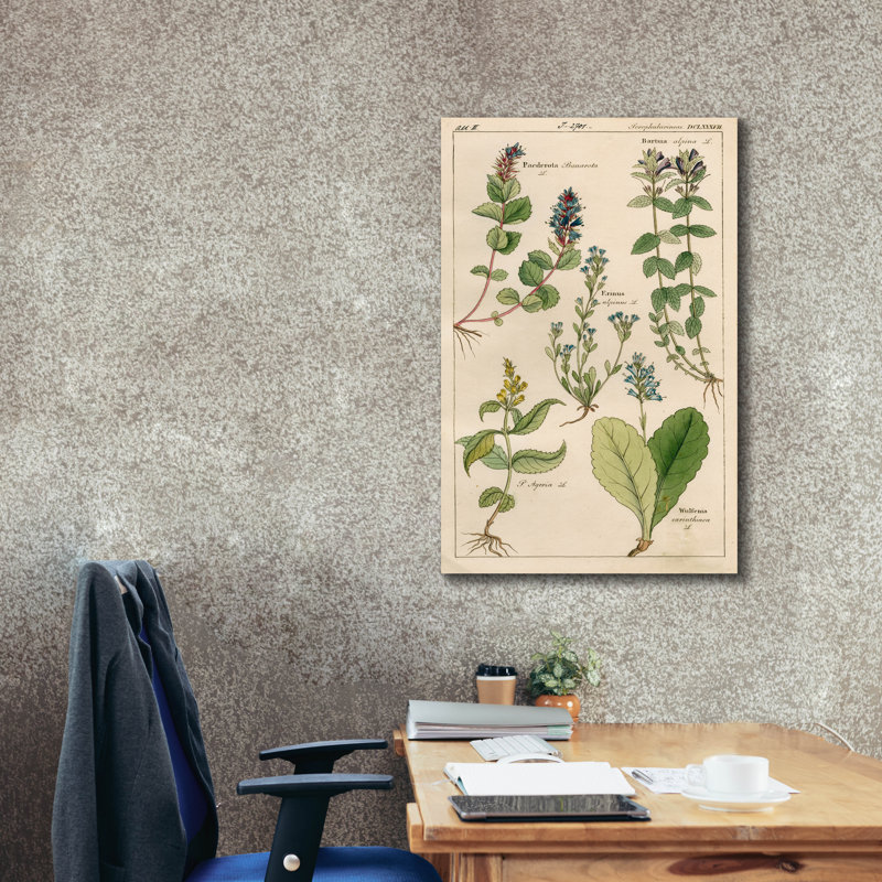 «Scrophularineae» par Art Licensing Studio, art mural sur toile