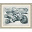 Aquatic Specimines 4 Framed Print