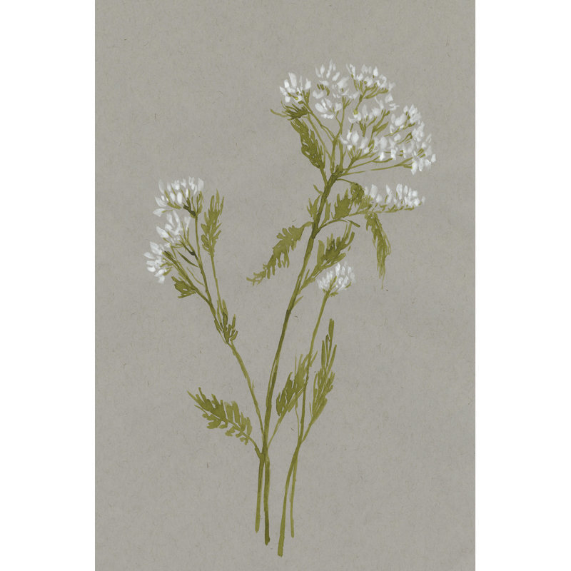Fleurs de champ blanc III, H 12 po x l 8 po