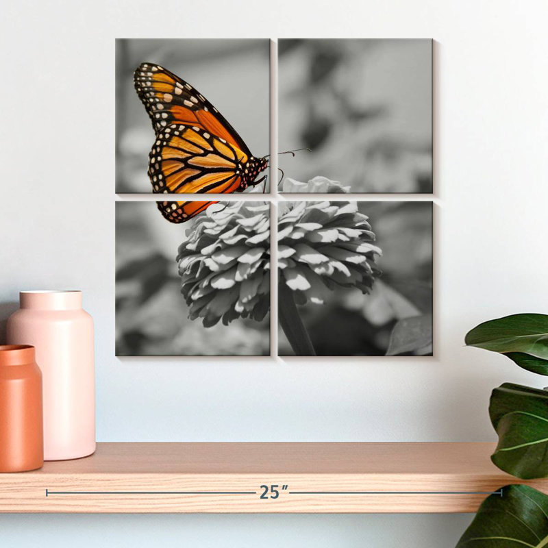 Papillon Brampt