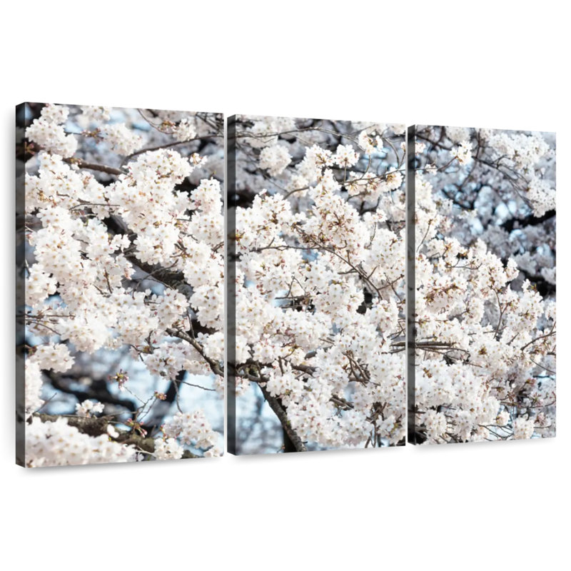Harnek Sakura Cherry Blossoms II, 42" H x 65" W