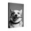 Animaux, chien tenant un stylo dans la bouche, portrait en noir et blanc-356140834