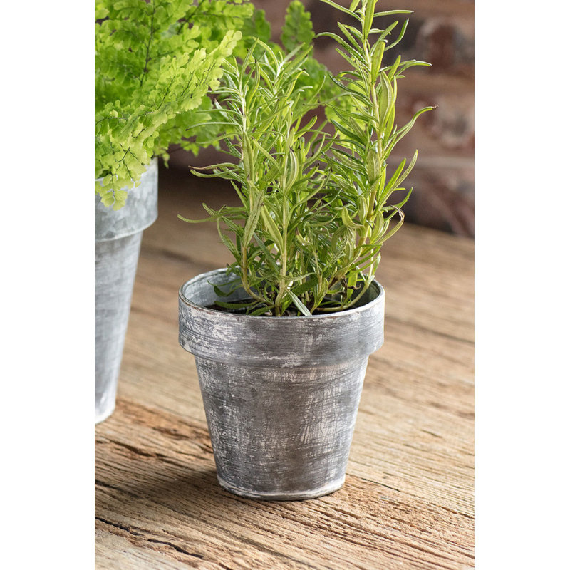 Pot de fleurs en zinc Sanjuana, H 4,5 po x l 4,5 po x P 4,5 po