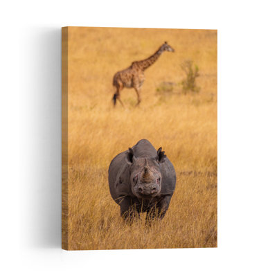 Rhino In Golden Savanna Contemporary Giraffe Nature Wildlife Wall Art Print