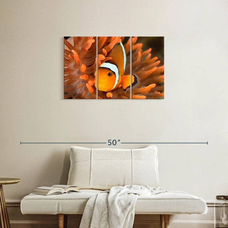 Orange Clownfish, 20" H x 33" W