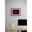 Papaver Somniferum Print by Harold Davis-65858858-65779944