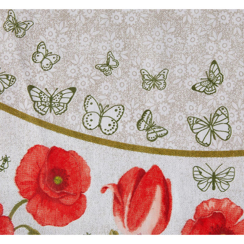 Nappe Apolo