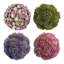 Decorative Sedum Balls-1910265262