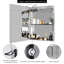 Holtz 500mm W 720mm H Surface Frameless Medicine Cabinet Mirror 2 Fixed