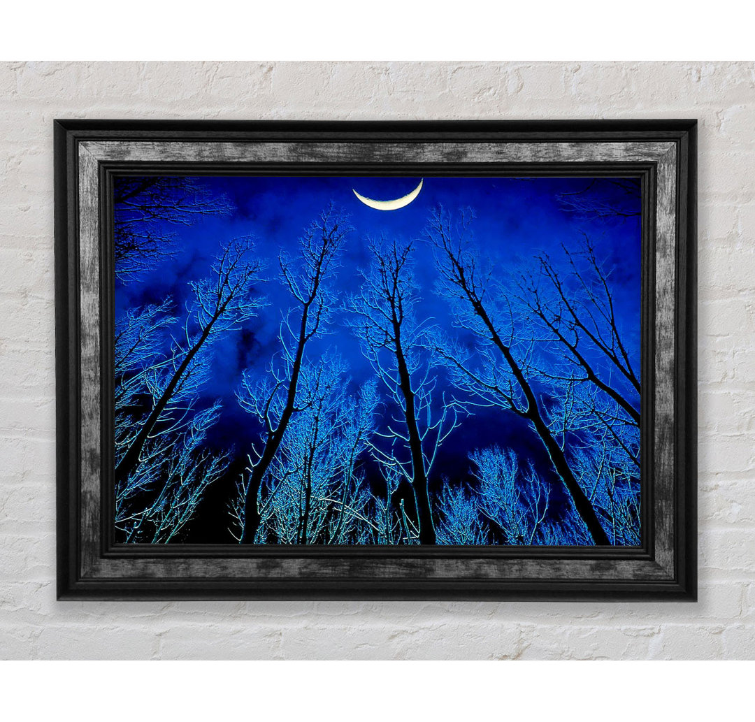 Forest By Moonlight - Einzelner Bilderrahmen Kunstdrucke