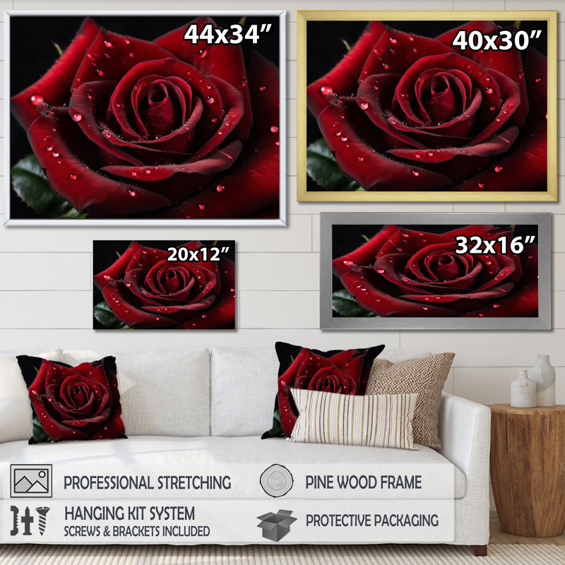 " Red Rose With Raindrops V ", Wrapped Canvas, 34" H x 44" W x 1.5" D
