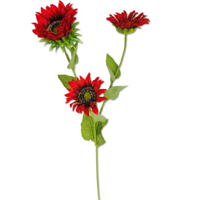 Tige de tournesol