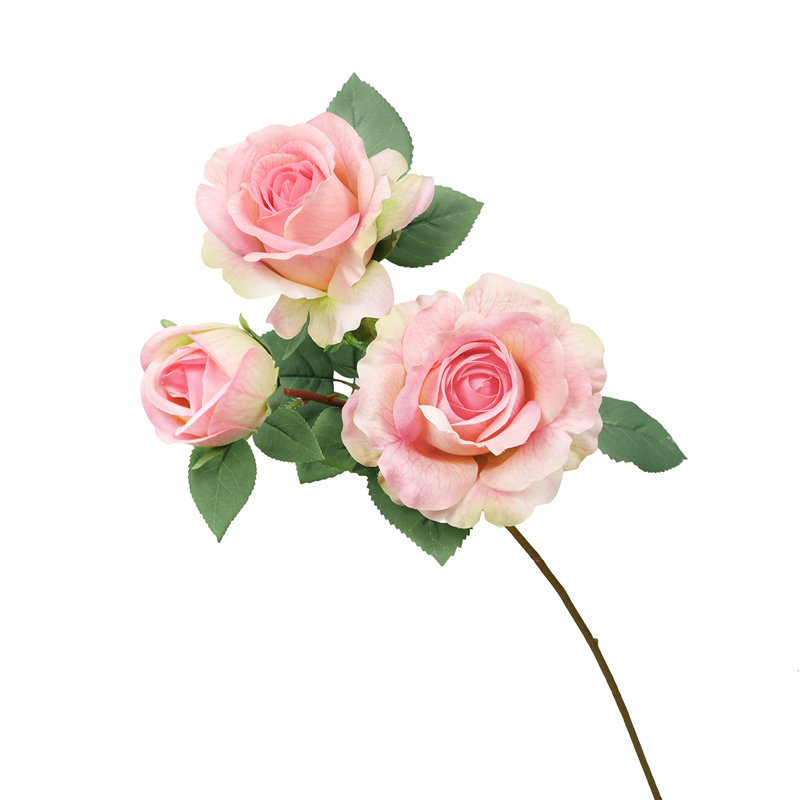 Fleur de sucre en aérosol, Rosé