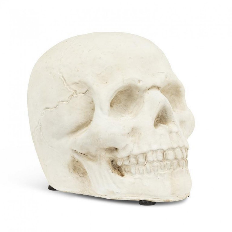 Small Skull