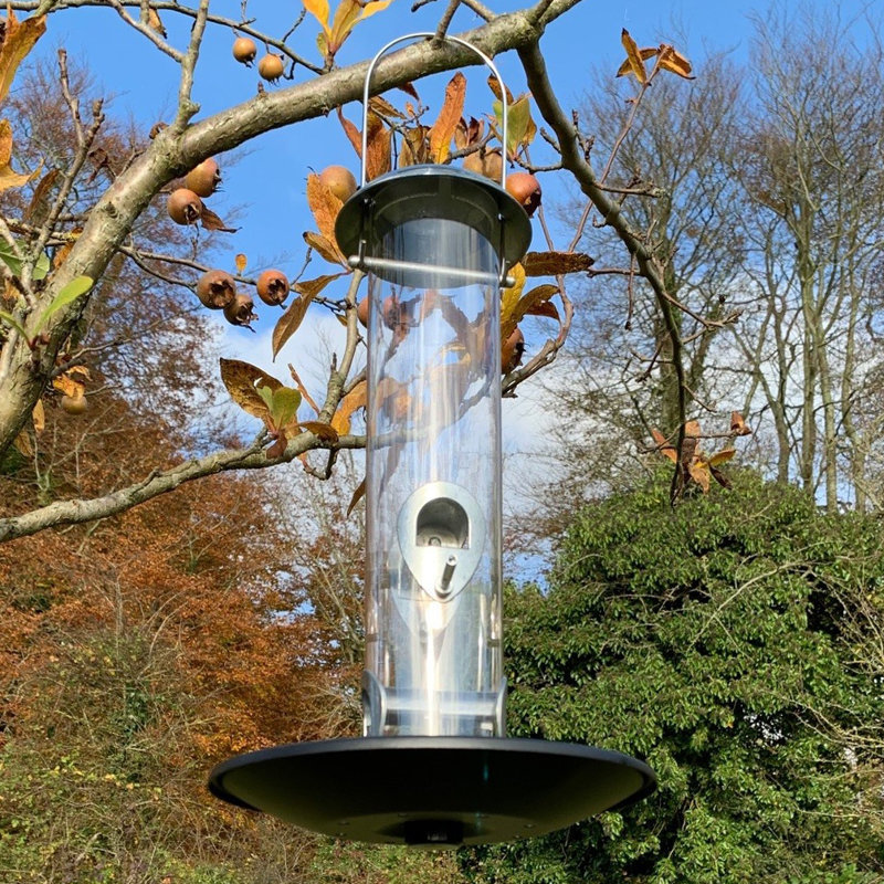 Fairwinds Metal Hanging Tube Bird Feeder