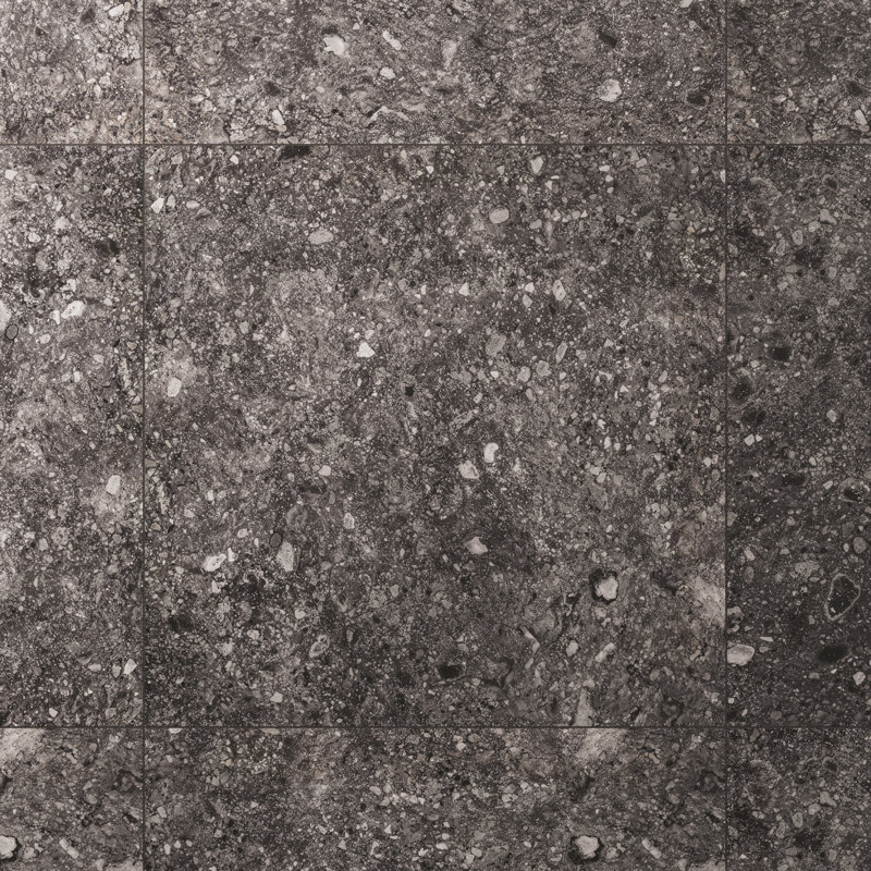 Rizo 48x48 Matte Terrazzo Look Porcelain Tile, Charcoal