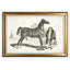 « équin sketch vii », impression-28042139-28042304-28042310