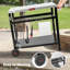 Feasto 39.5cm W x 25.6cm D Metal-1387959385