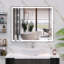 Miroir de meuble-lavabo mural 30 po x 36 po à DEL avec interrupteur tactile antibrouillard blanc / chaud / naturel réglable-1915450039