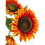 Tige de tournesol artificielle-88571998