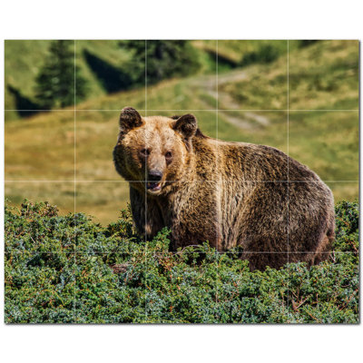 Bear Photo 12'' x 12'' Satin Ceramic Decorative Mural