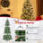 Lighted Christmas Tree-1925019488