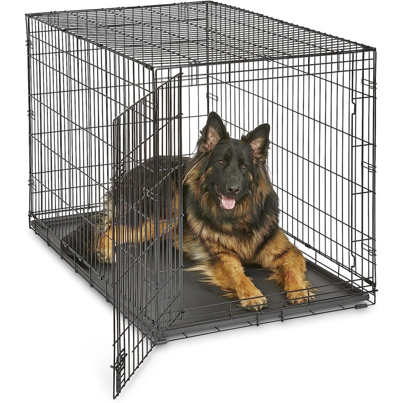 Cage pour chien New World, Grand (H 33 po x l 30 po x P 48 po)