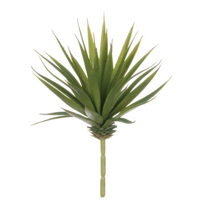 Tige marginata