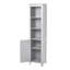 Hudgins Freestanding Bathroom Cabinet-412291982