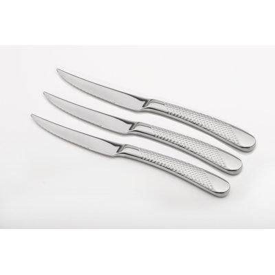 Stainless Steel Dinner Knife