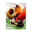 Art sur toile Justyna Jaszke Football 2-105646808