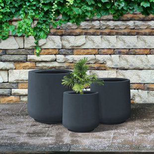 Concrete Planters You'll Love 