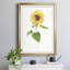 «Sunflower I» par J Paul - reproduction d'art encadrée-1374442928-1374442894