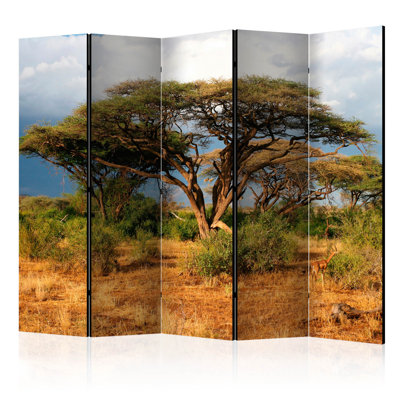 Gautreaux 225cm W x 172cm H 5 - Panel Solid Wood Folding Room Divider