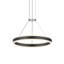 Lustre à roue de chariot à 2 lumières DEL Double Corona ™-28665359-122950197