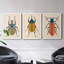Beetle Bug I - ensemble de 3 peintures sur toile encadrées-1777886078-1777886079