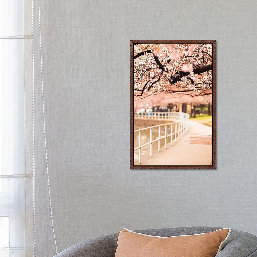 Canopy Of Cherry Blossoms Over A Walking Trail von Susan Richey - Gallery-Wrapped Canvas Giclée