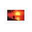 1 Piece Wrapped Canvas Wall Art