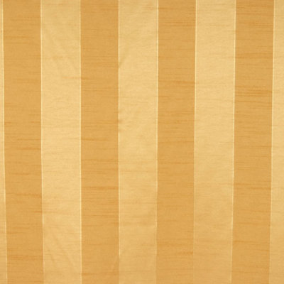 Picasso Fabric